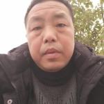 Bigtree - Traducteur chinois FR>CN