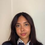 Lya - Project Manager