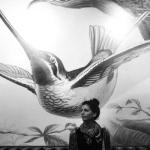 Gaelle - Photographe