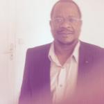 Faustin - CONSULTANT SAP FICO - PARAMETRAGES - 300 EUROS PAR JOUR.