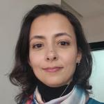 Sarah - Product Manager Senior| SaaS| Data| UX & Delivery