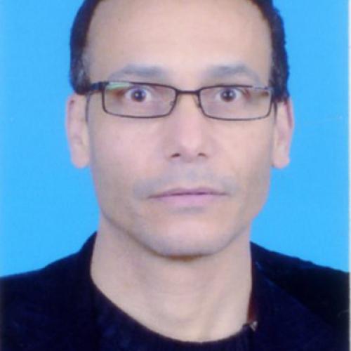 Ahmed C. - Consultant en stratégie, Sourceur, négociateur, Acheteur