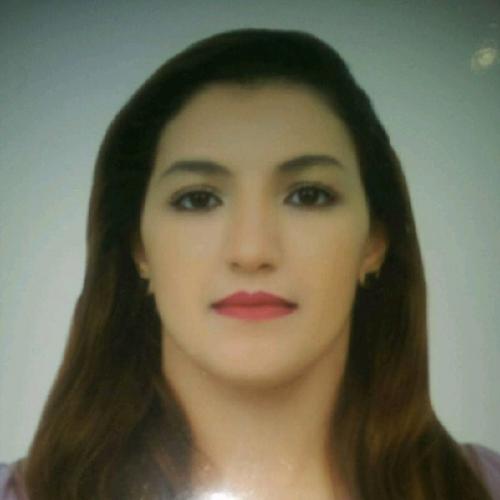 Ilham E. - Saisie des données
