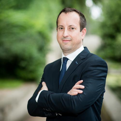Guillaume J. - Directeur Marketing - Consultant Marketing