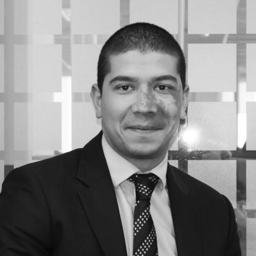 Salah L. - Consultant Achats indirect