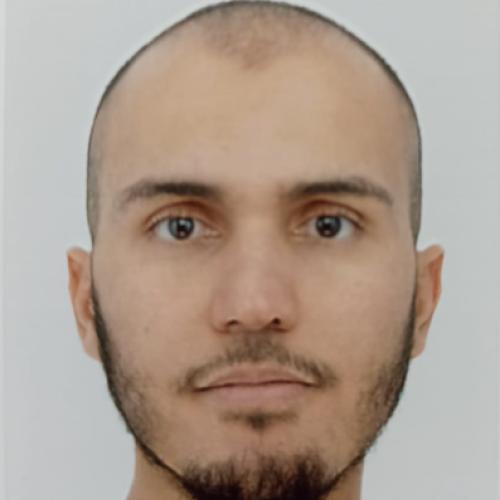 Hamza T. - Acheteur projets / Contract manager