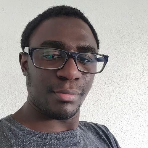 Ahmadou F. - Professeur de Maths et Physique-chimie, Ingénieur