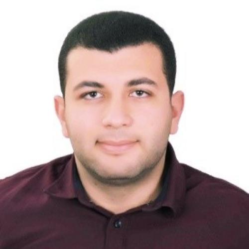 Mohamed ali A. - Ingénieur Consultant ERP