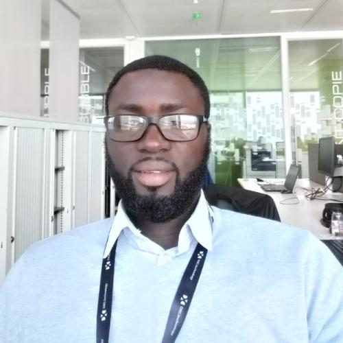 Moussa N. - CONSULTANT TECHNIQUE SENIOR SAP (DÉVELOPPEUR ABAP)