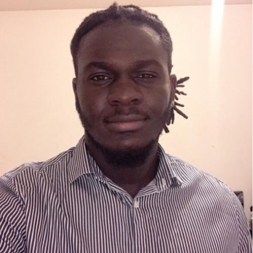 Koffi N. - Consultant en Solutions Technologiques