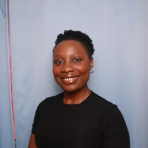 Leene carlie T. - Consultant Audit/ Contrôle interne