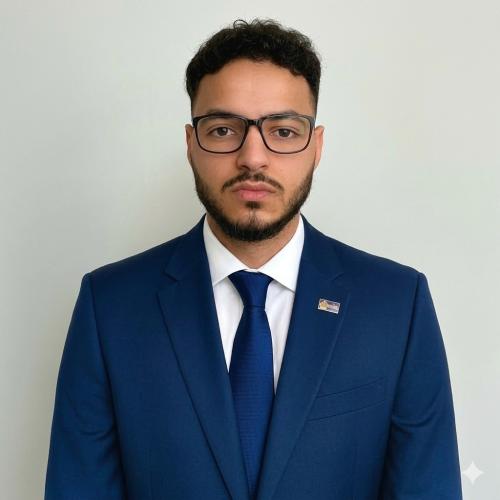 Islem T. - Consultant et Expert IA