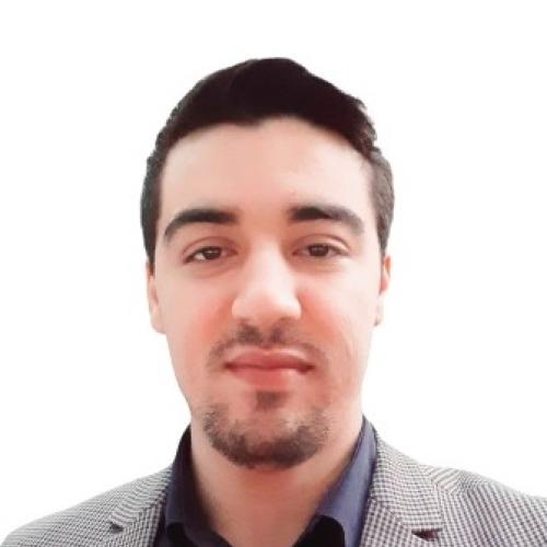 Houssam J. - Consultant BI