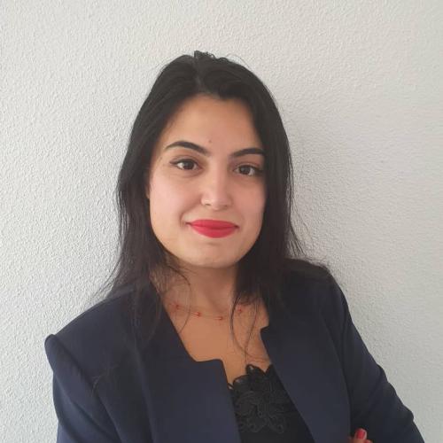 Hiba D. - Chef de projet PMO- PMP®