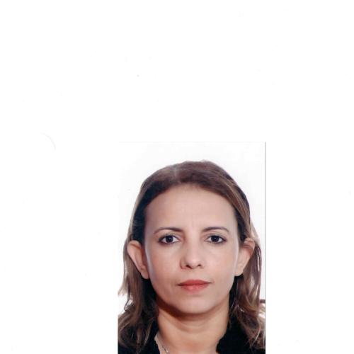Sihem B. - Consultant en ingénieur en génie civil
