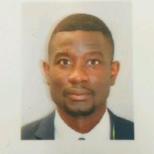 Cyrille D. - Controleur de gestion (Finance/IT)