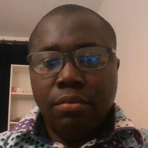 Senou auguste N. - Juriste formaliste, droit des affaires / Contentieux