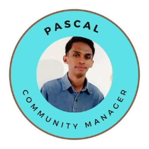 Randrianasolo J. - Community manager et assistant marketing digital