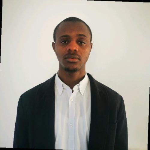 Diamé S. - Conseiller financier