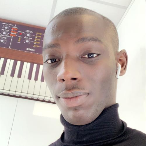 Mamadou D. - RAF - Comptable Général - Contrôle de Gestion