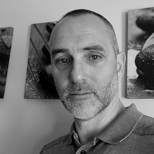 Daniel B. - Expert WordPress – Sites vitrines & e-commerce sur-mesure