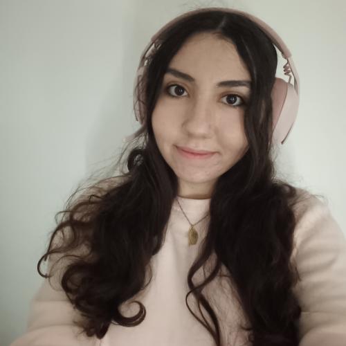 Nour E. - Traductrice et Interprète Français-Anglais-Espagnol-Arabe