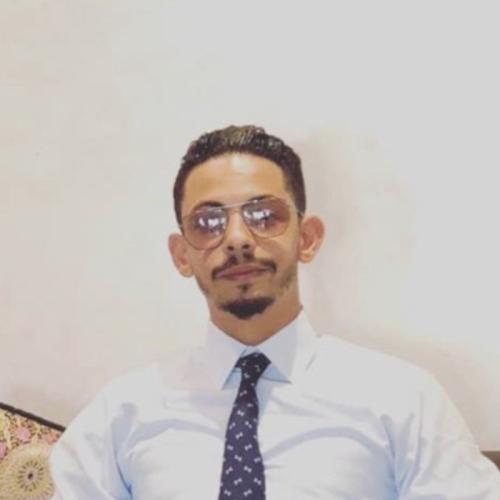 Hamza L. - Expert en audit et contrôle de gestion