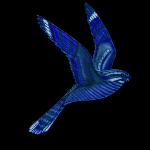 Justine B. - Monteuse et mixeuse son