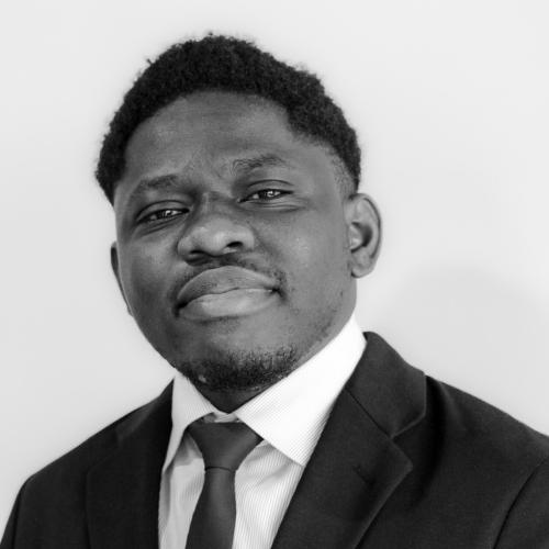 Héritier M. - Business Analyst - PMO