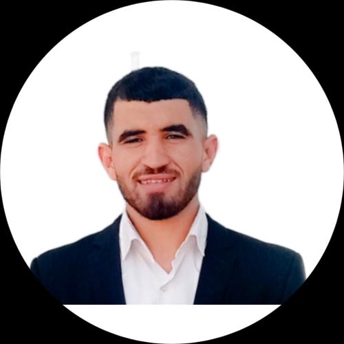 Elarbi L. - Full-Stack développer (Java, Spring boot, NextJs ,NestJs)