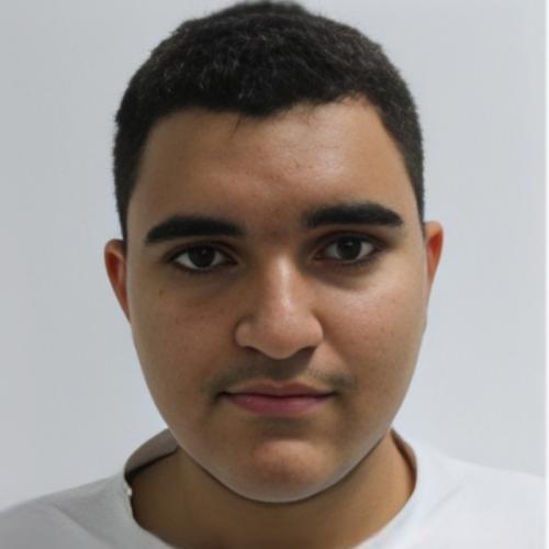Rayen A. - Développeur web freelance – Étudiant Polytech Grenoble