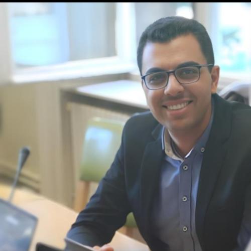 Elie A. - Consultant