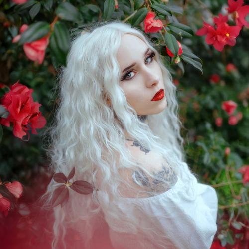 Julie L. - Photographe/vidéaste