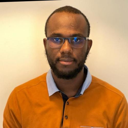 Alpha D. - Chef de projet technique I.T