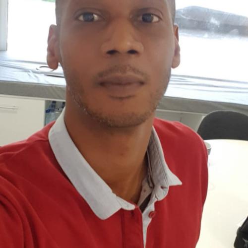 Lionel C. - Ingénieur  système numérique