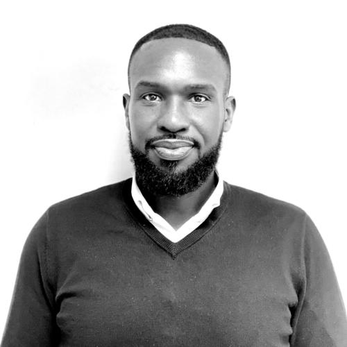 Hamady D. - Commercial/Formateur