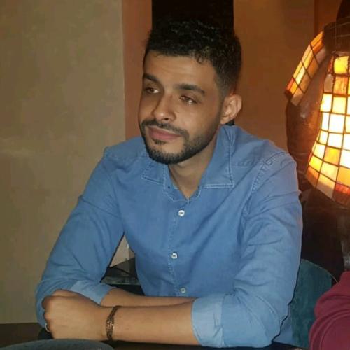 Badr A. - Energy asset manager