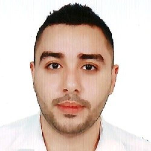 Oussama T. - Senior Data - SI Décisionnels & Analytics