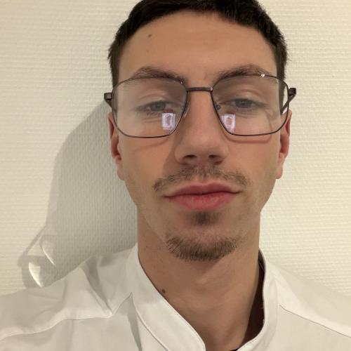 Nolann T. - Traducteur multilingue - 7 langues