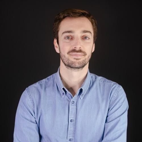Nicolas G. - Business / Data analyst ERP et BI