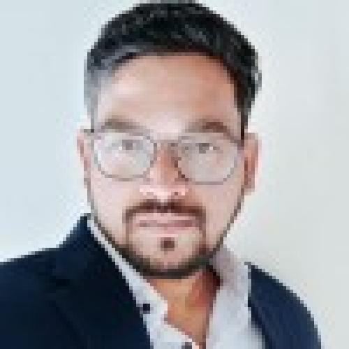 Nilesh P. - Data scientists ERP Consultant specialise in order to cash