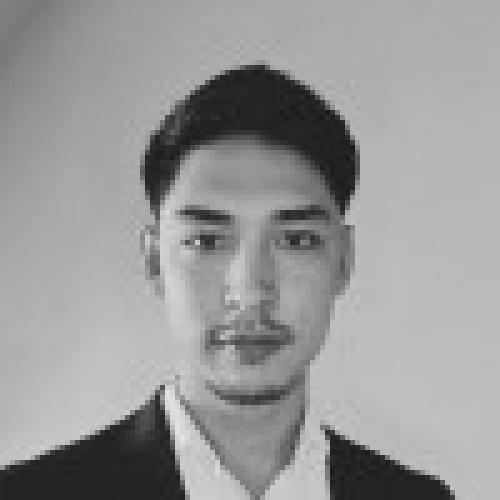 Nicolas S. - Consultant IT PROJECT MANAGER / MOA / BA / PO