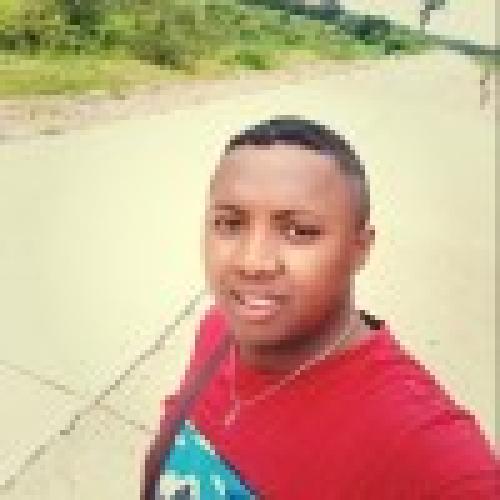 Licaine A. - Ingénieur d'étude - Assistant Maitre d'ouvrage