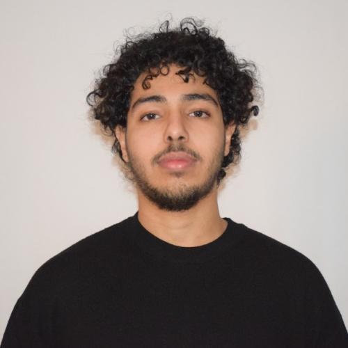 Ahmed I. - Consultant et Formateur IA