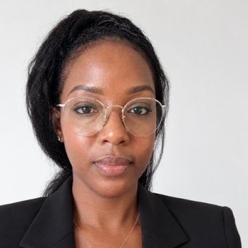 Amy S. - Ingénieur Commerciale Expert - 15 ans d'expérience